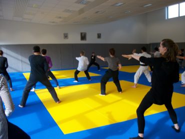 Echanges entre disciplines : qi gong, aïkido, shiatsu – février 2017 – Arnay-le-Duc