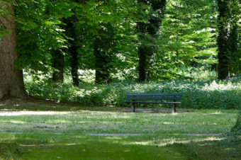 Qi Gong en plein air Mai-Juin 2025