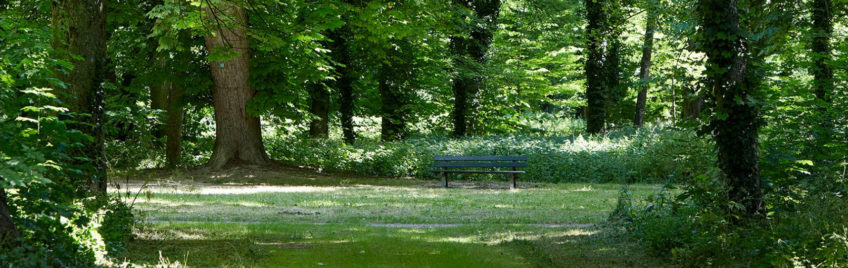 Qi Gong en plein air Mai-Juin 2025